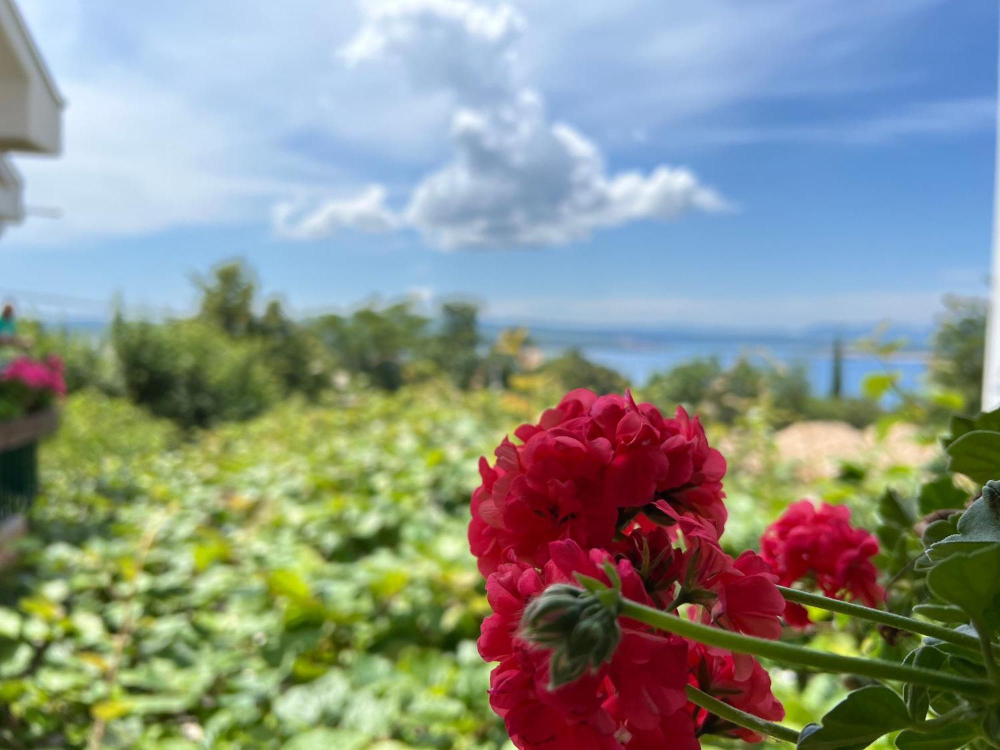 Apartman Ahmicic Crikvenica Buitenkant foto